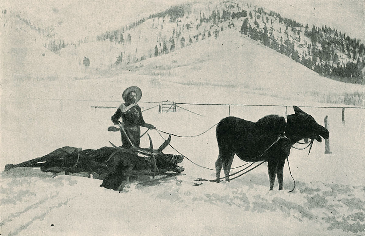 Nellie Bly at work.